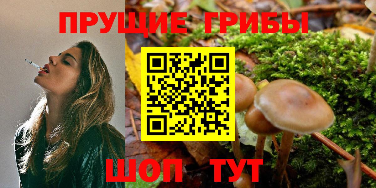 Псилоцибиновые грибы прущие грибы  Вход с VPN  Ярцево 